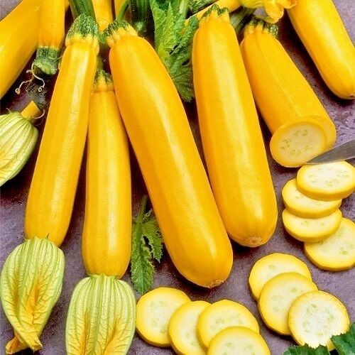 Buvala™-Golden Zucchini Seeds