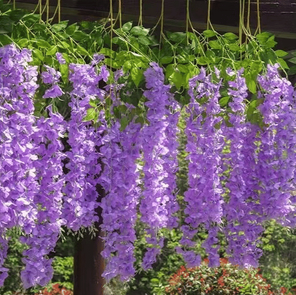 Buvala™-✨This Week's Special Sale 49% Off - UV Simulation Artificial Wisteria