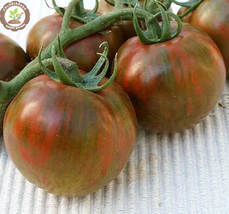 Buvala™-Waterfall Tomatoes Seeds-High Yield