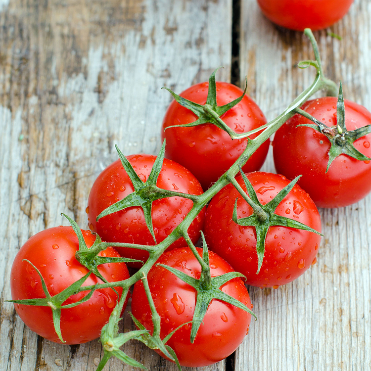 Buvala™-Dwarf Tomatos Seeds