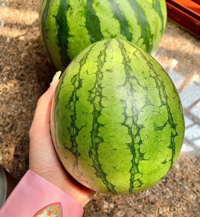 Buvala™-🍉Thin Skin Ruby Mini Watermelons Seeds