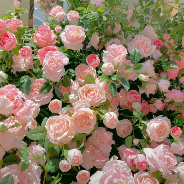 Buvala™-🌹Climbing Rose Seeds - Luck Rises