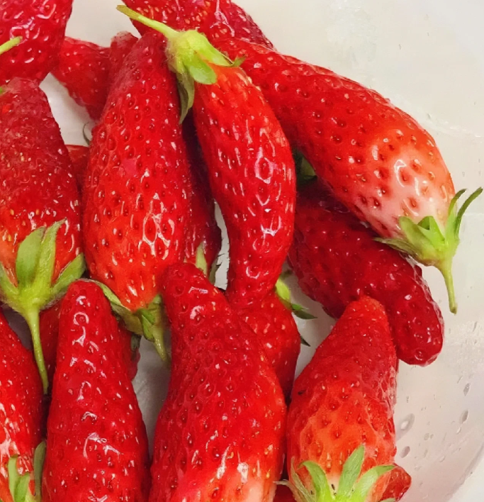 Buvala™-Rare Chili Strawberry Fruits Seeds