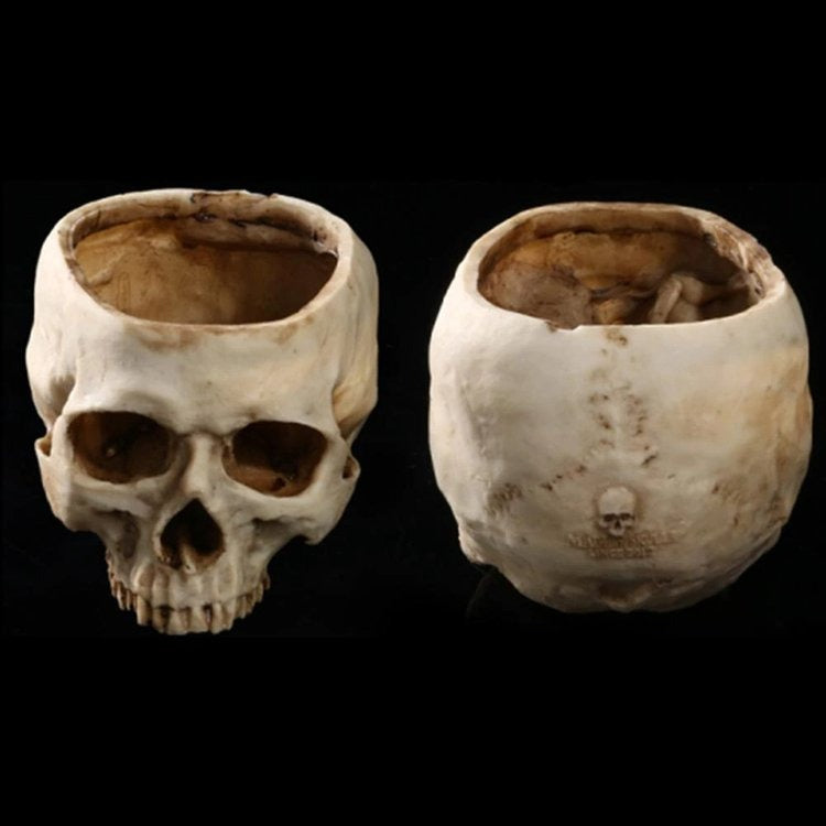 Buvala™-🎃HALLOWEEN SALE 49% OFF🎃HUMAN SKULL BOWL