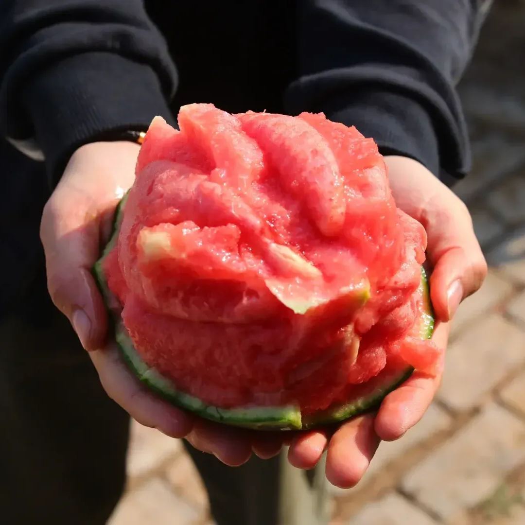 Buvala™-🍉Thin Skin Ruby Mini Watermelons Seeds