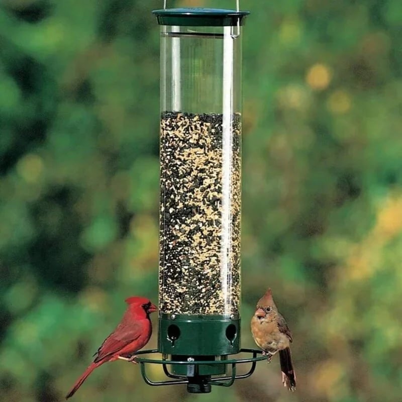 Buvala™-🔥🔥Squirrel-Proof Bird Feeder