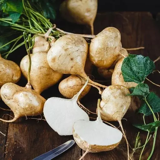 Buvala™-Jicama Pachyrhizus Erosus Seeds