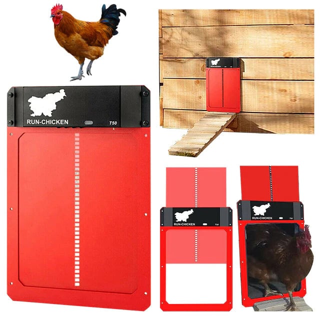 Buvala™-Automatic Chicken Coop Door