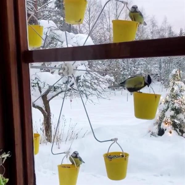 Buvala™-Ferris Wheel Bird Feeder 🐦