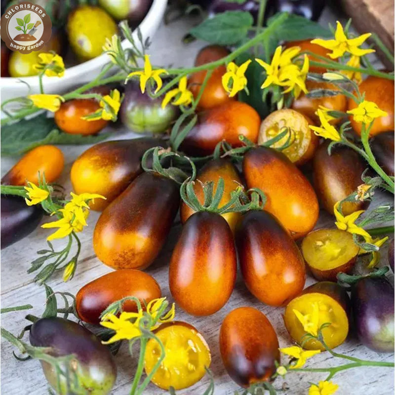 Buvala™-Waterfall Tomatoes Seeds-High Yield