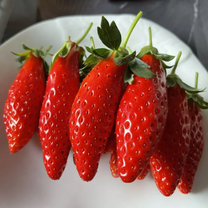 Buvala™-Rare Chili Strawberry Fruits Seeds