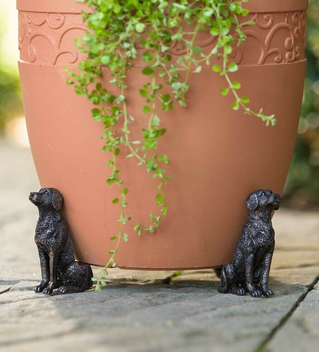 Buvala™-Potty Feet Plant Pot Feet