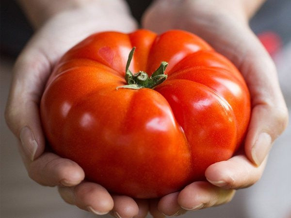 Buvala™-Giant Delicious Tomato / Up to 2kg (20 Seeds a Pack)