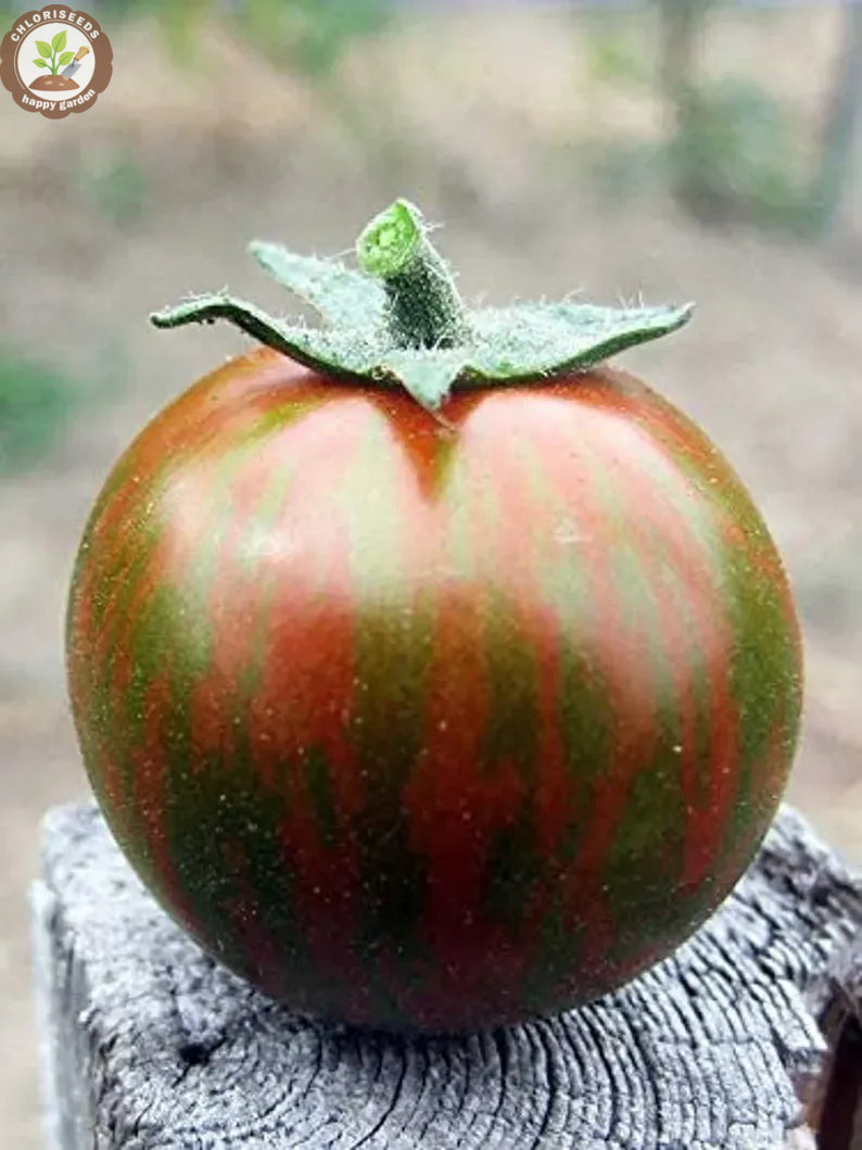 Buvala™-Waterfall Tomatoes Seeds-High Yield